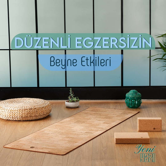 Düzenli Egzersizin Beyne Etkileri