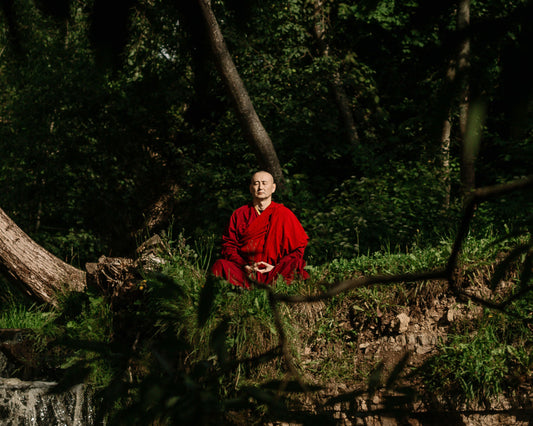 Meditasyon Yapmamız için Dört Neden